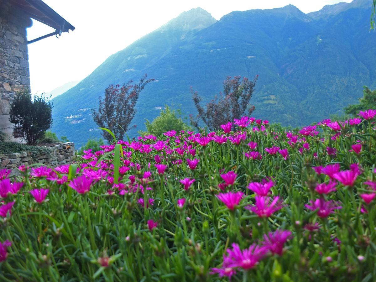 Mazzo di Valtellina Agriturismo Al Castagnetoヴィラ エクステリア 写真