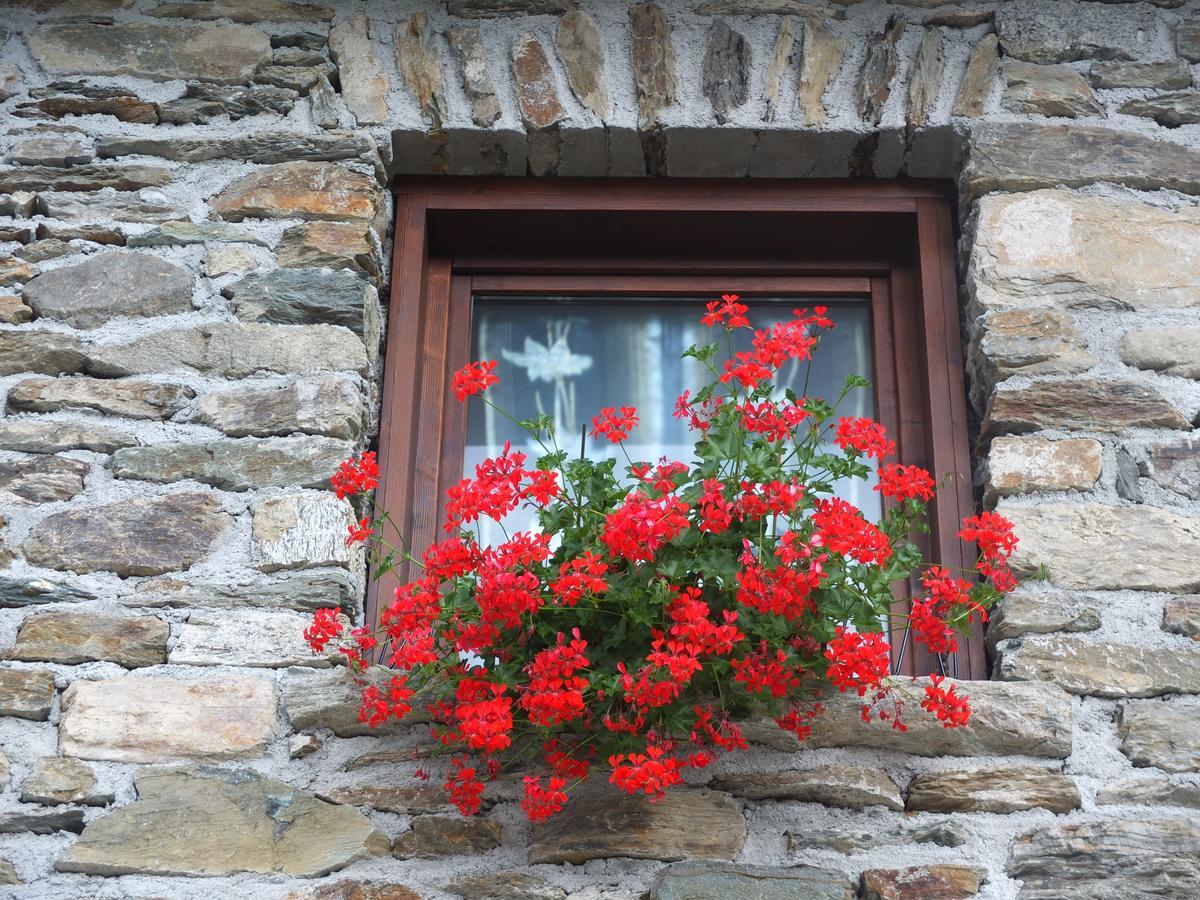 Mazzo di Valtellina Agriturismo Al Castagnetoヴィラ エクステリア 写真